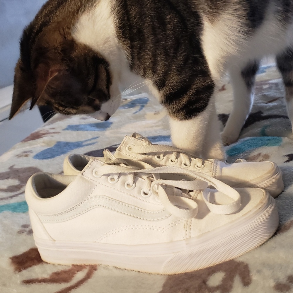 White Vans Old Skool Skate Shoes M 5.5 W 7.0